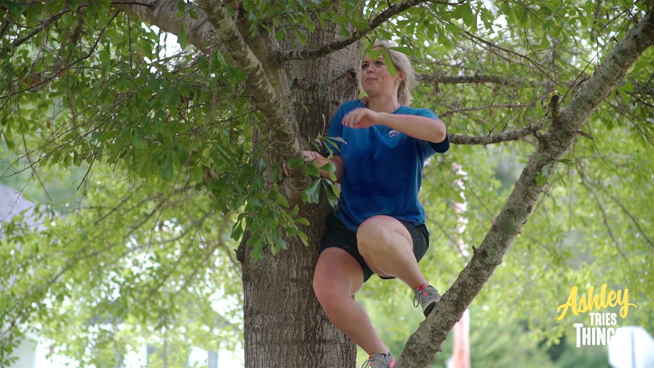 Small Town, Big Mayor - Ashley Tries Things – Go Climb A Tree