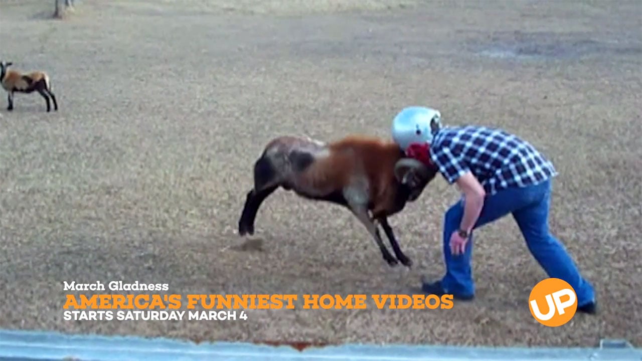 America's Funniest Home Videos - Dog Park