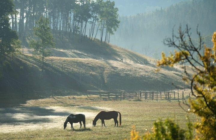 Heartland Season 12