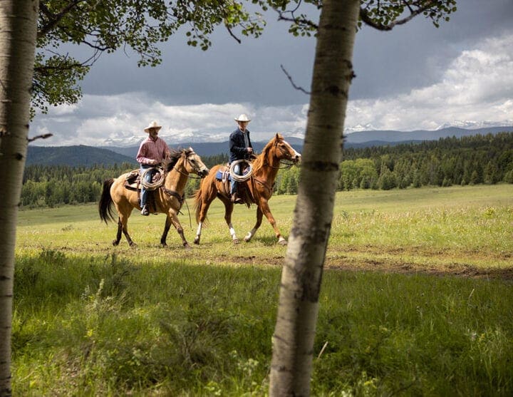 Heartland Season 13 Episode 5