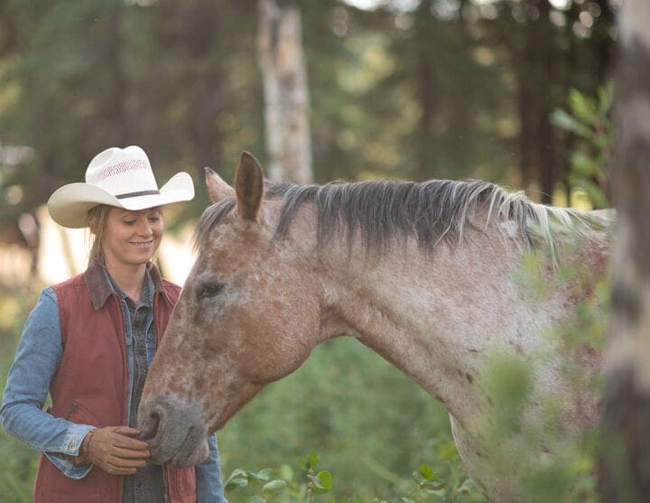 Heartland Season 14