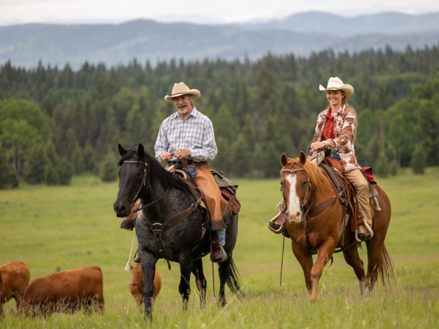 Heartland Season 16 Episode 3