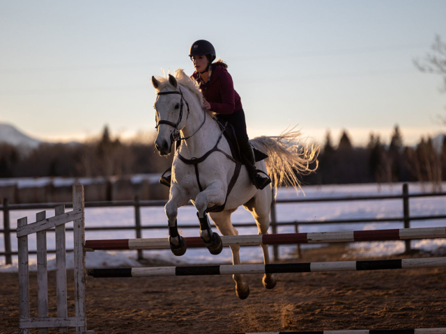 Heartland Season 16 Episode 14