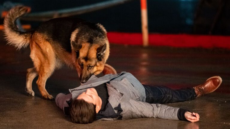 Hudson & Rex Episode 520