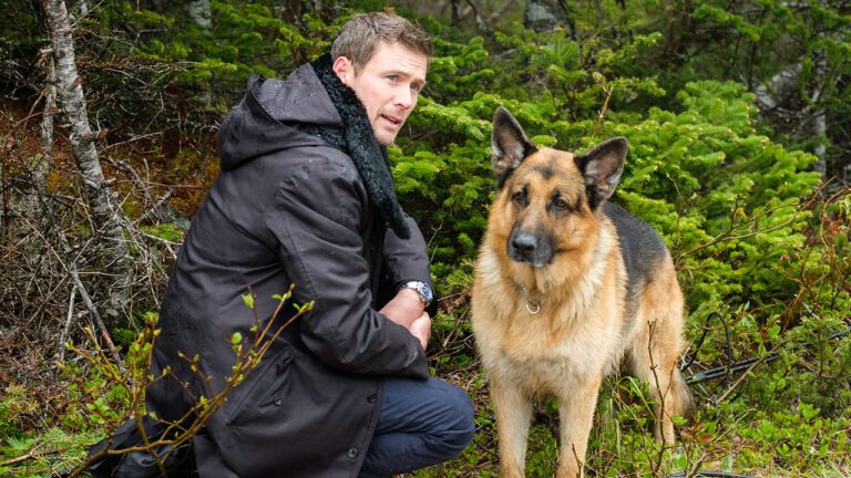 Hudson & Rex Episode 502