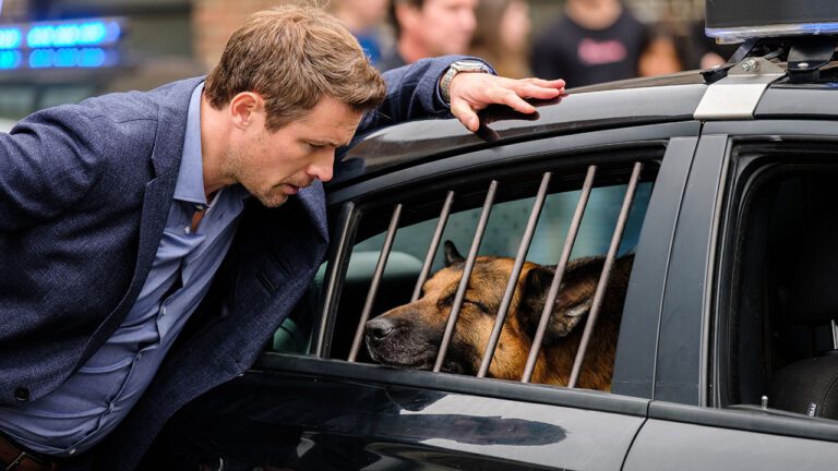 Hudson & Rex Episode 505