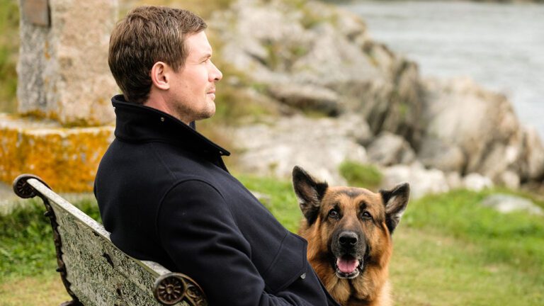 Hudson & Rex Episode 511