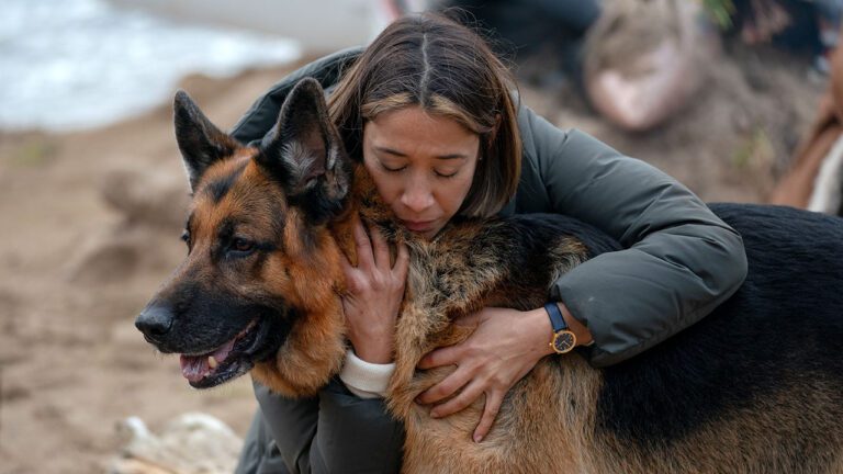 Hudson & Rex Episode 515