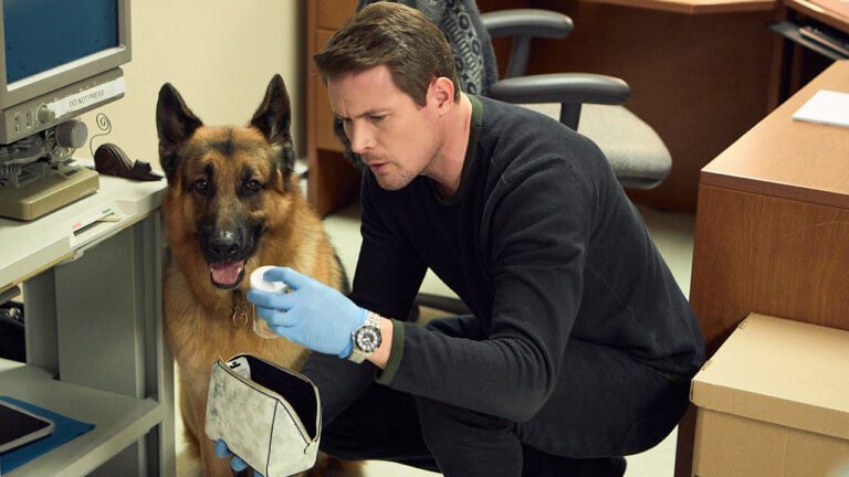 Hudson & Rex Episode 213