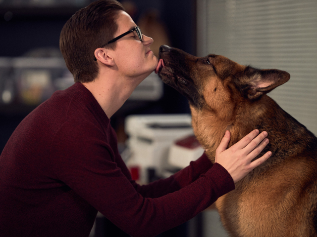 Hudson &amp; Rex Season 2