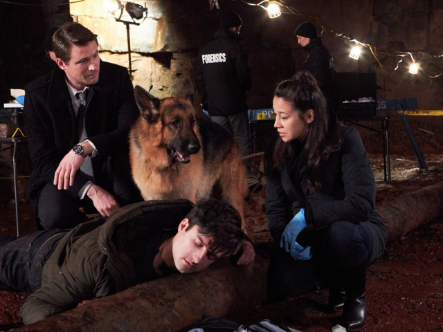 Hudson &amp; Rex Season 2