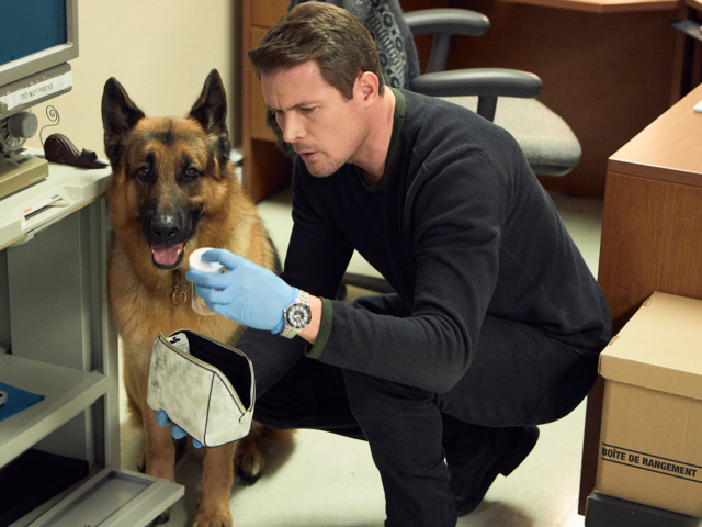 Hudson &amp; Rex Season 2