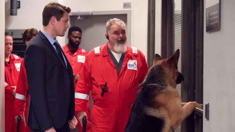 Hudson & Rex Episode 217