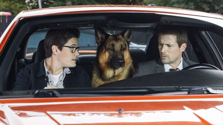 Hudson & Rex Episode 302