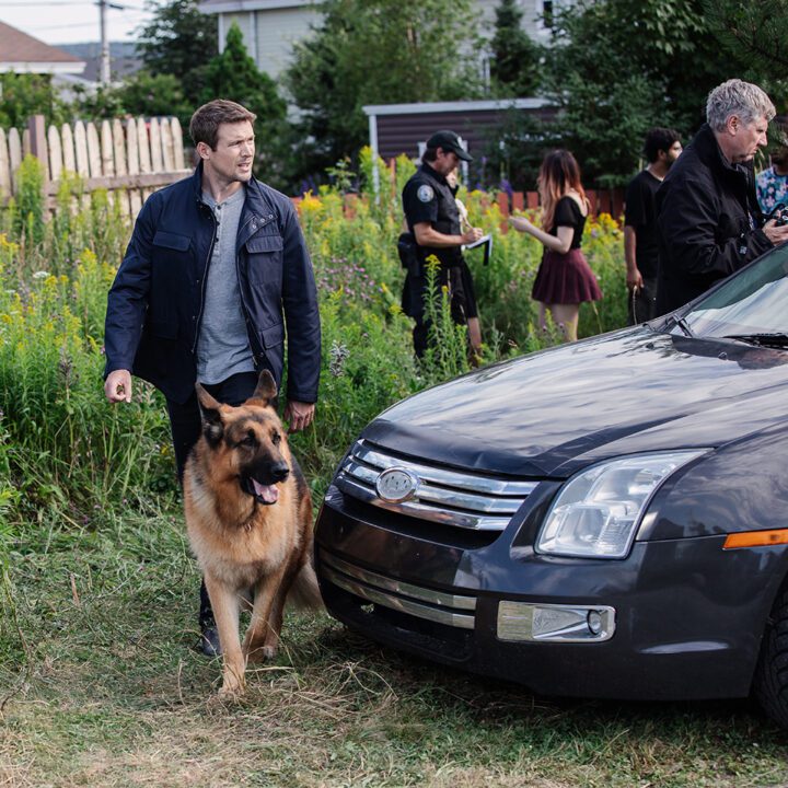 Hudson & Rex Episode 303 Hudson & Rex Episode 303