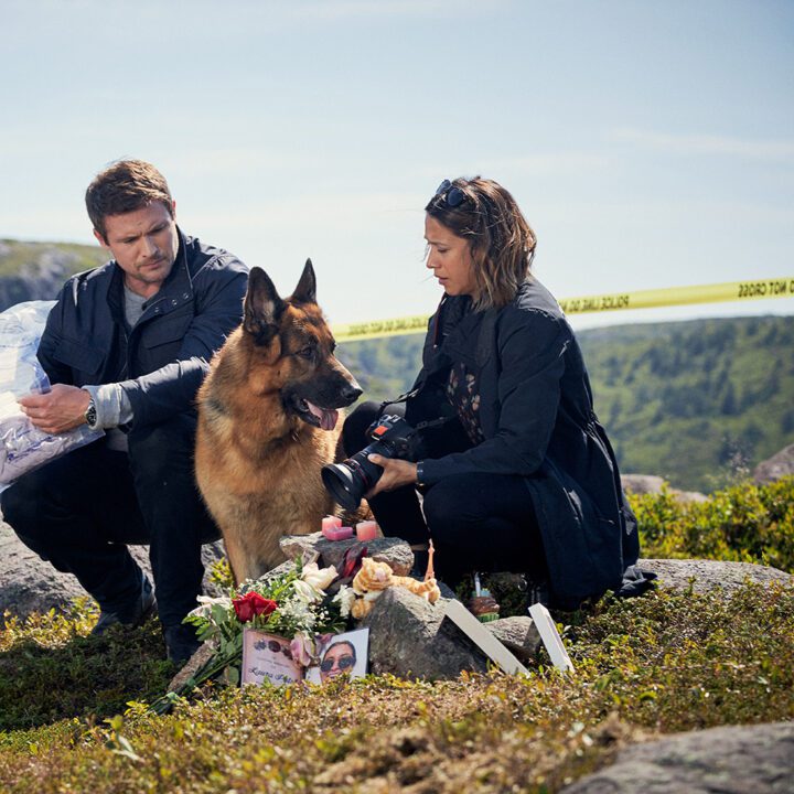 Hudson & Rex Episode 303 Hudson & Rex Episode 303