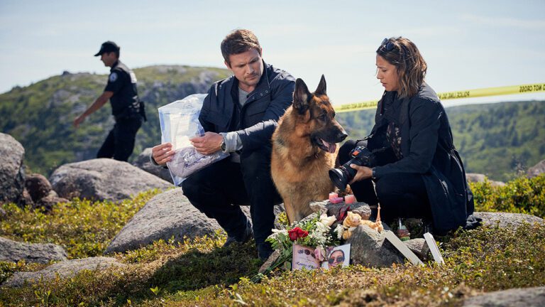 Hudson & Rex Episode 303