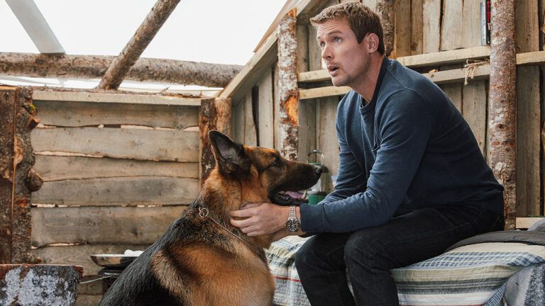 Hudson & Rex Episode 306