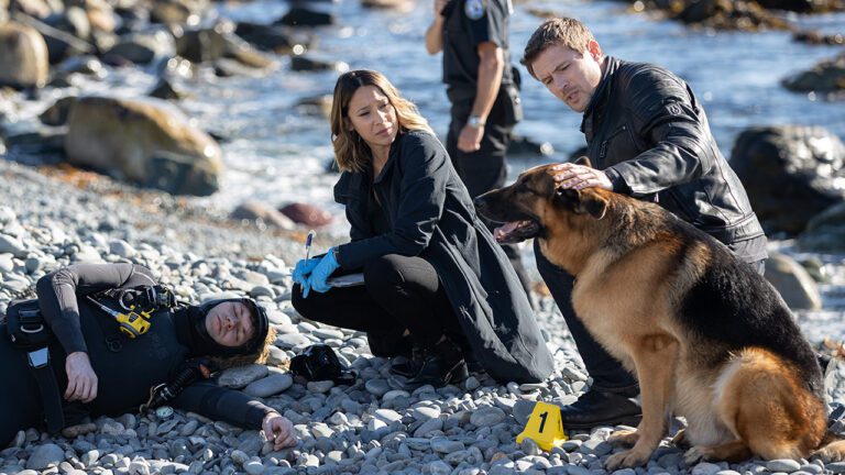 Hudson & Rex Episode 307