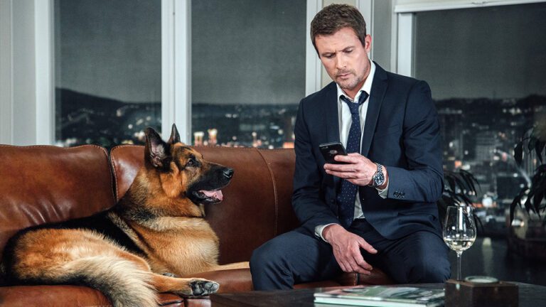 Hudson & Rex Episode 308