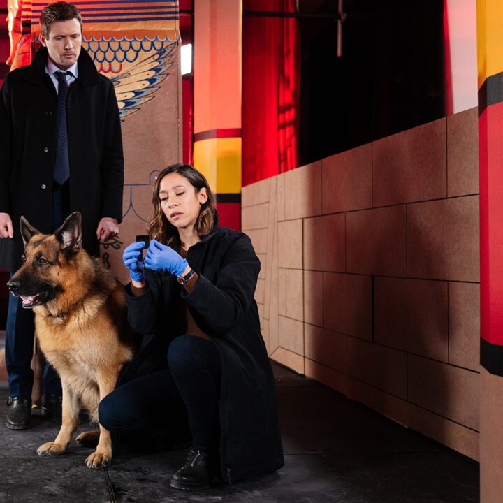 Hudson &amp; Rex Episode 316