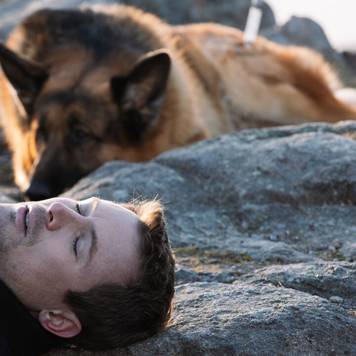 Hudson &amp; Rex Season 3