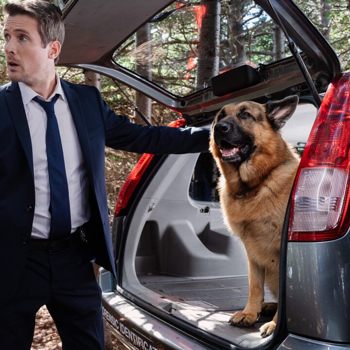 Hudson &amp; Rex Season 3