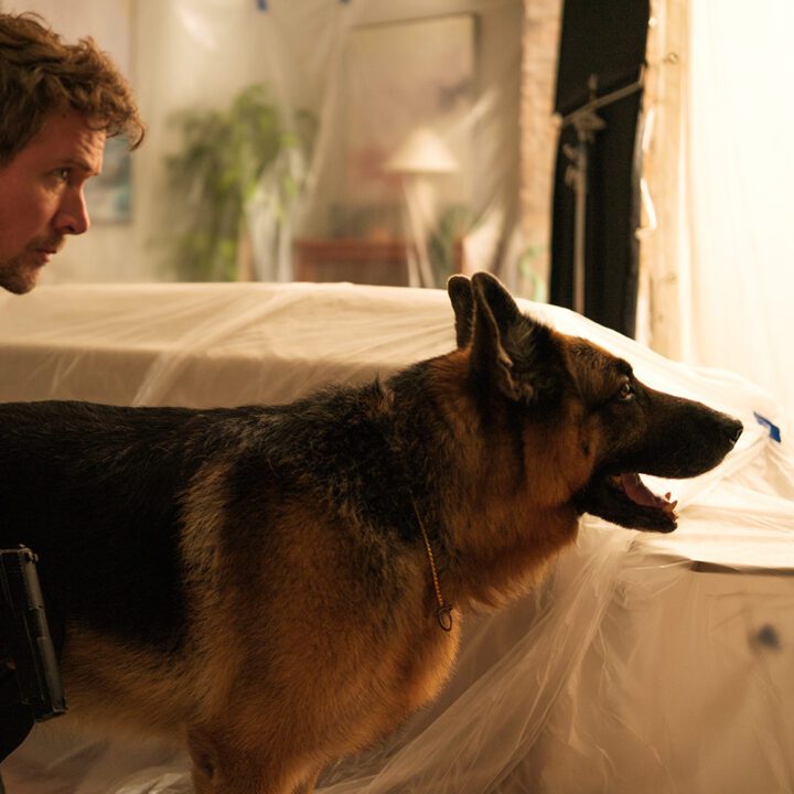 Hudson &amp; Rex Season 7