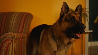 K9: The Rext Generation