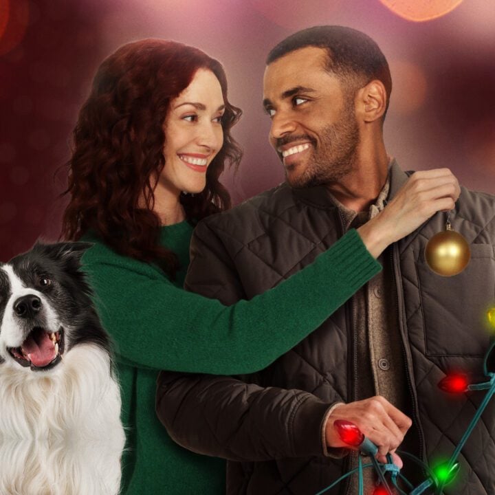 View all posts filed under Christmas Checklist