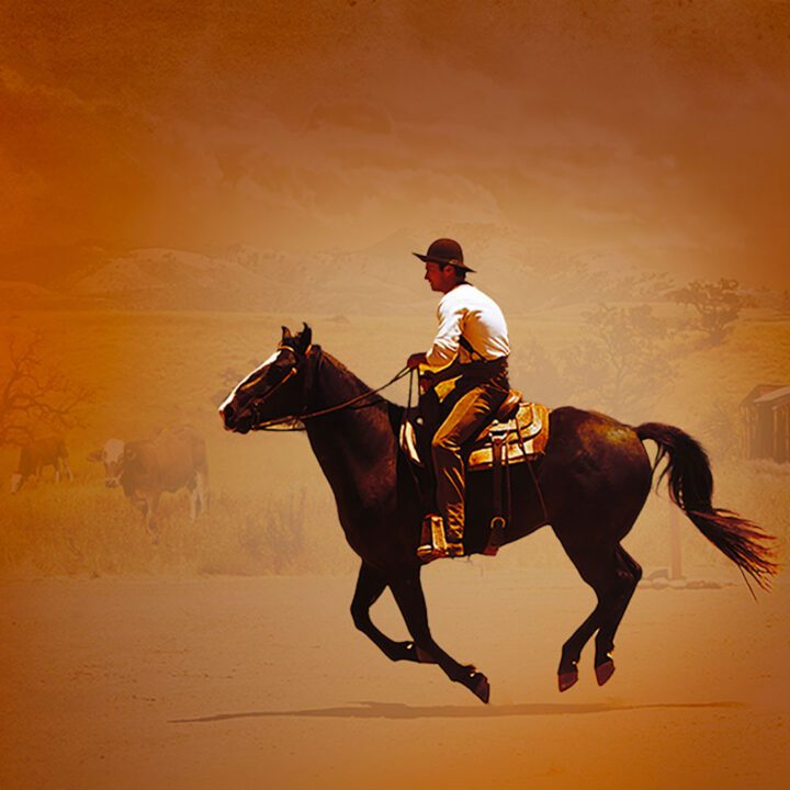 Love’s Unending Legacy