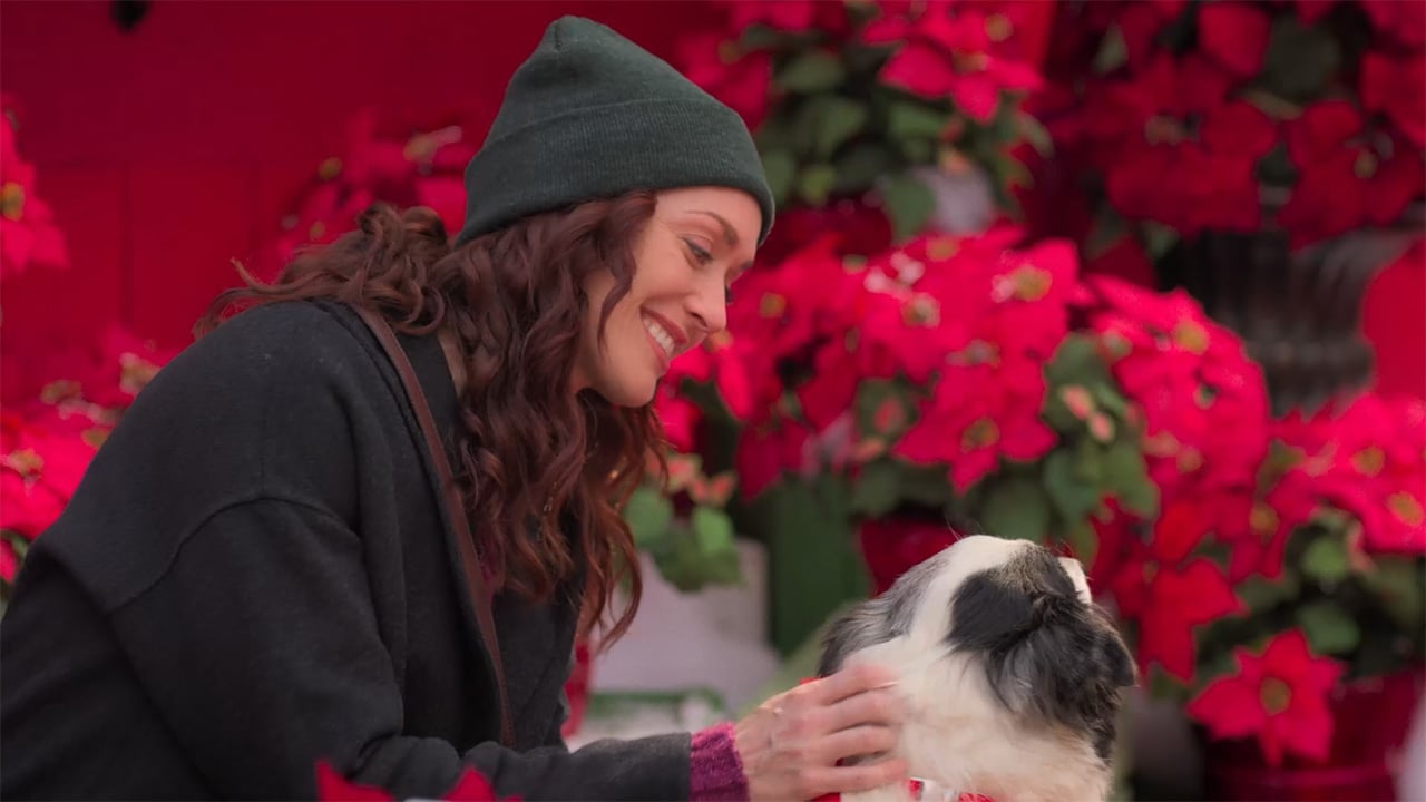 Christmas Checklist - The Christmas Checklist – A Hidden Gem