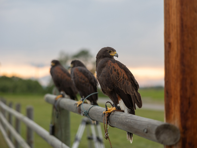 Heartland Episode 1807