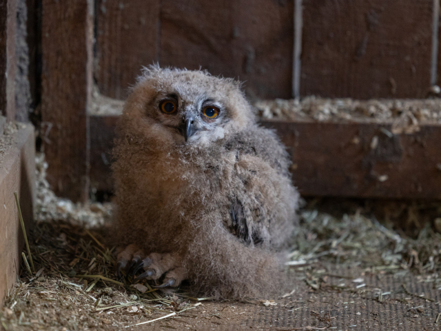 Heartland Episode 1807