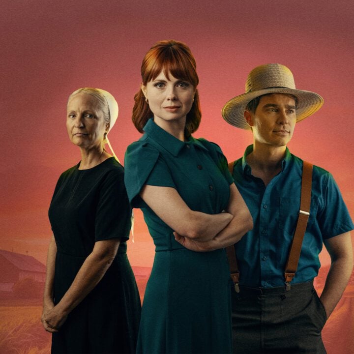 View all posts filed under Sugarcreek Amish Mysteries