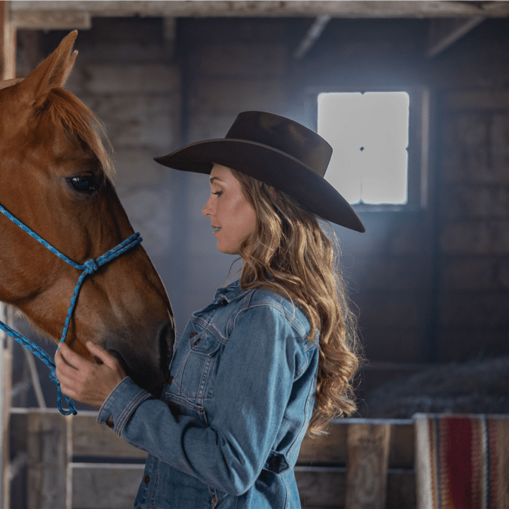 Heartland Episode 1901