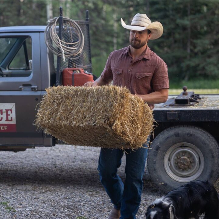 Heartland Episode 1905 Heartland Episode 1905