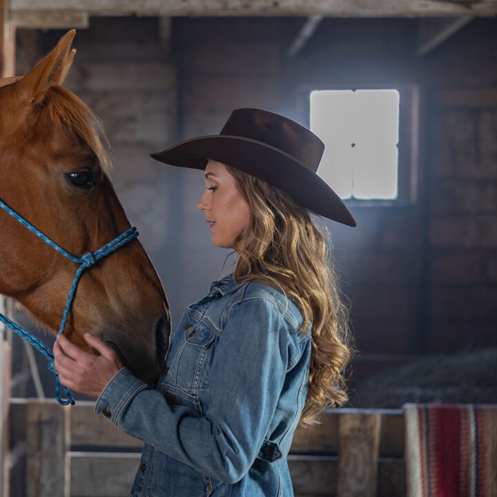 Heartland Season 19