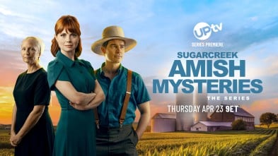 Sugarcreek Amish Mysteries