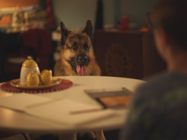 Hudson &amp; Rex Season 8