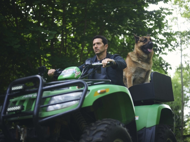 Hudson &amp; Rex Season 8