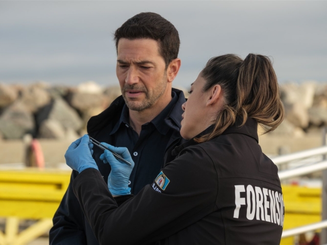 Hudson &amp; Rex Season 8