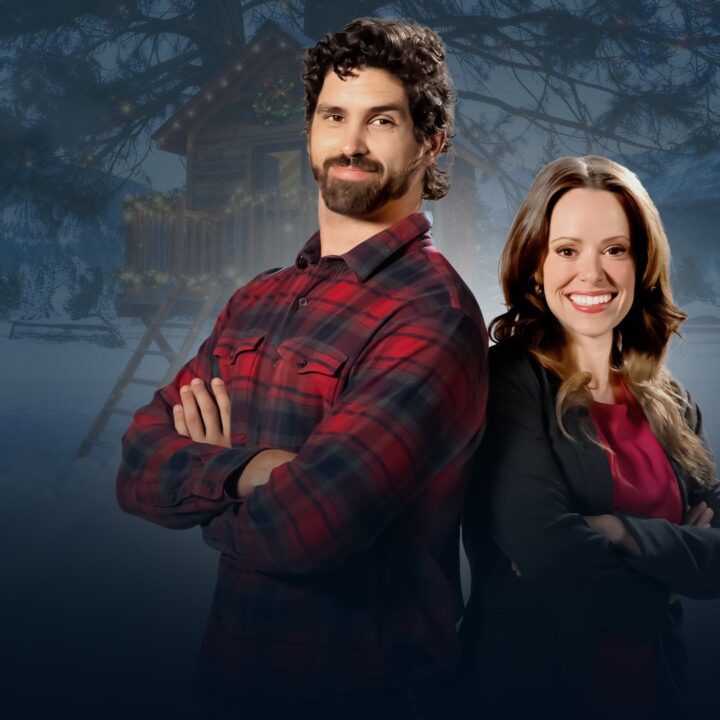 The Christmas Treehouse